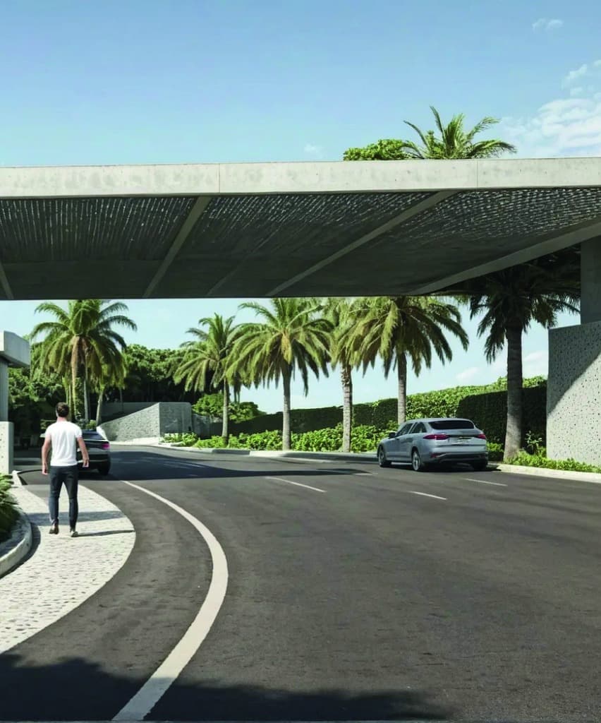 12-Metre Wide Tree-Lined Roads